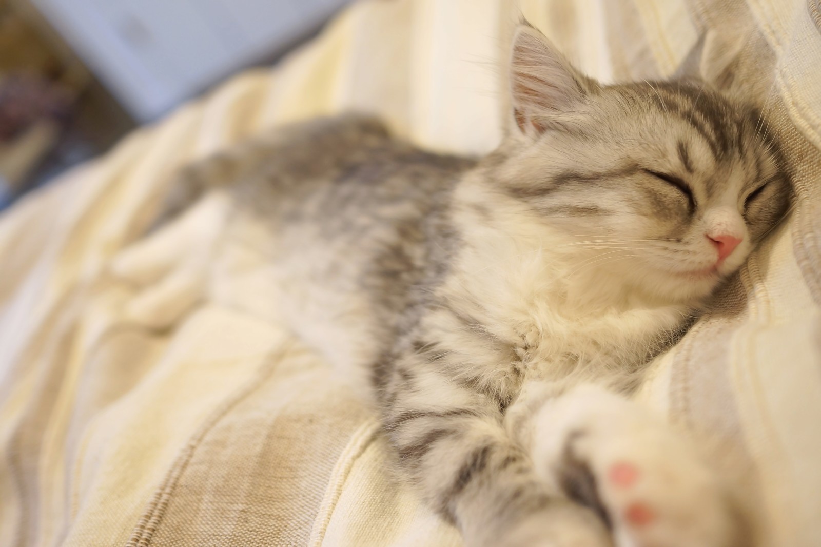 パジャマを着ると快適な睡眠につながる あなたは部屋着で寝ていませんか Nelture